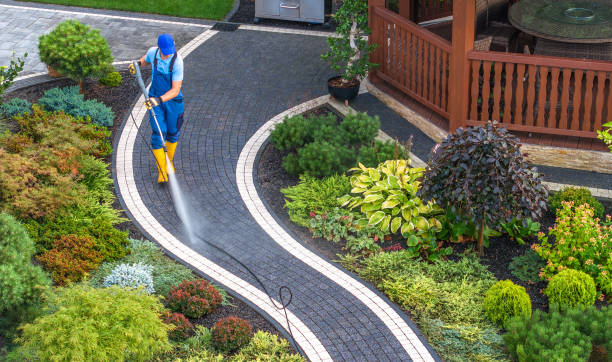 Best Pressure Washing Near Me  in Winchester, NV
